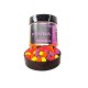 WAFTERS Pruna Dumbells