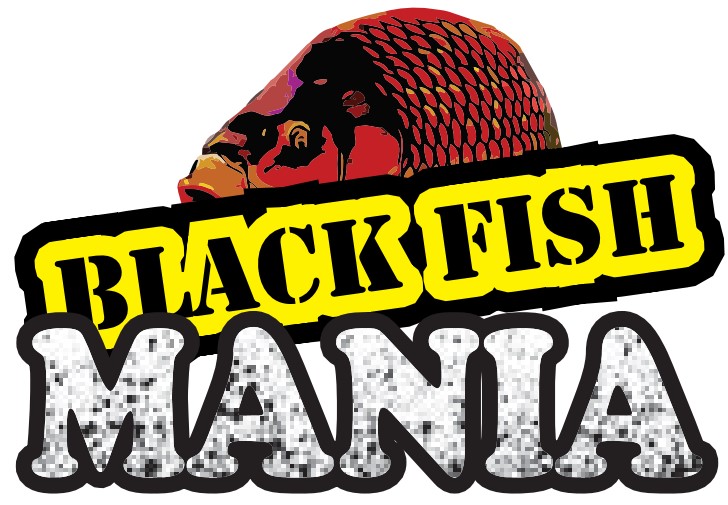 BLACK FISH IMPEX SRL BLACK FISH IMPEX SRL